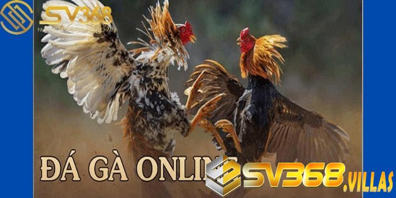 Đá gà online tại SV368