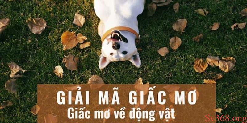 Nằm Mơ Thấy Nhiều Con Vật Xuất Hiện Đánh Con Gì Tại Sv368 7 Giải mã giấc mơ nhiều con vật